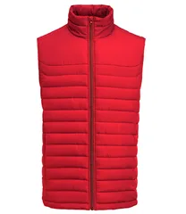 Arches Vest