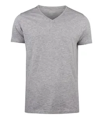 Whailford V-Neck T-Shirt