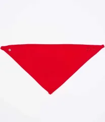 BabyBugz Bandana Bib