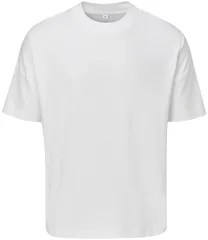 Mantis Unisex Oversized Heavy T-Shirt